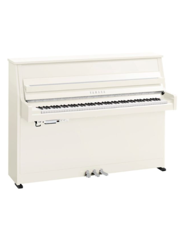 YAMAHA B20 PWHC