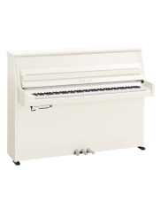 YAMAHA B20 PWHC