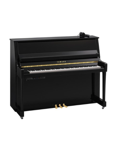 YAMAHA B20 SC3 PE