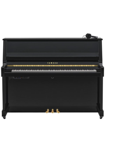 YAMAHA B20 SC3 PE