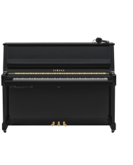 YAMAHA B20 SC3 PE