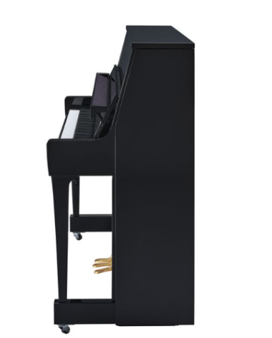 YAMAHA B20 SC3 PE