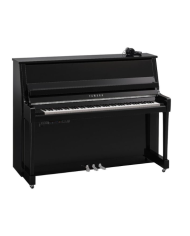 YAMAHA B20 SC3 PEC