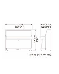 YAMAHA B20 SC3 PEC