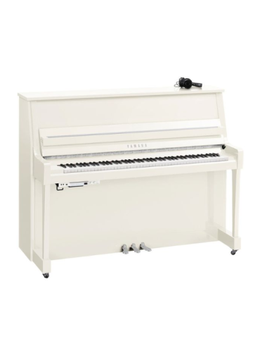 YAMAHA B20 SC3 PWHC