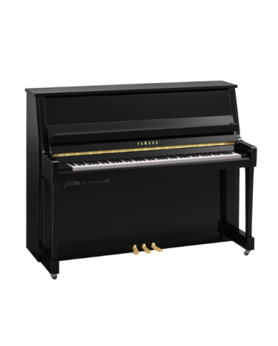 YAMAHA B20 TC3 PE