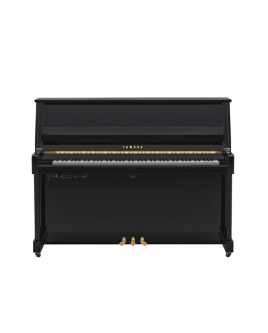 YAMAHA B20 TC3 PE