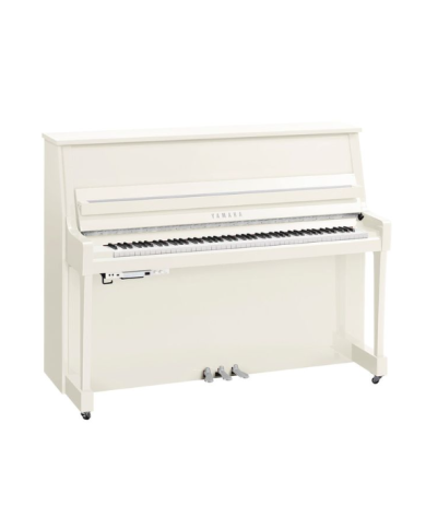 YAMAHA B20 TC3 PWHC