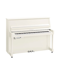 YAMAHA B20 TC3 PWHC