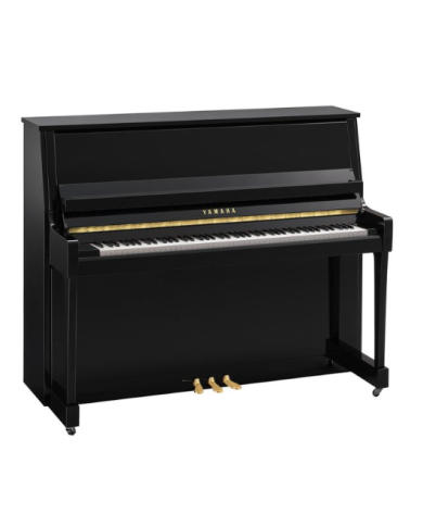 YAMAHA B30 PE
