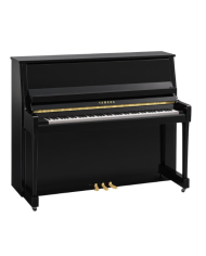 YAMAHA B30 PE