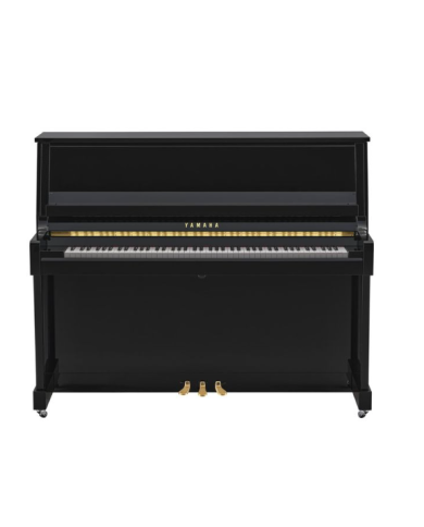 YAMAHA B30 PE