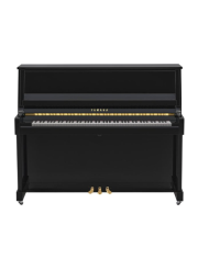 YAMAHA B30 PE
