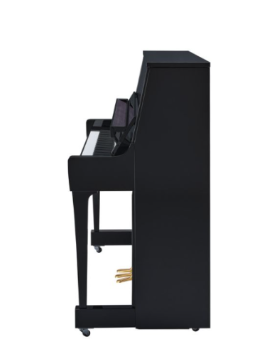 YAMAHA B30 PE