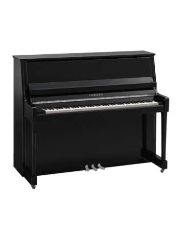 YAMAHA B30 PEC