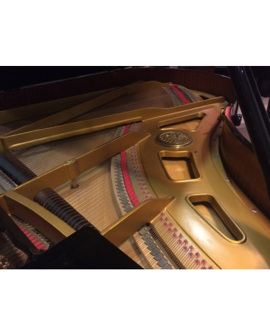 PETROF PIANO 1/2 QUEUE