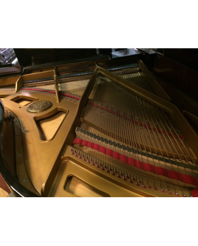 PETROF PIANO 1/2 QUEUE