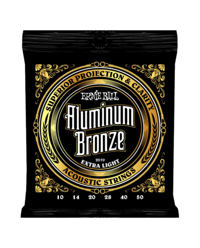 ERNIE BALL EP02570