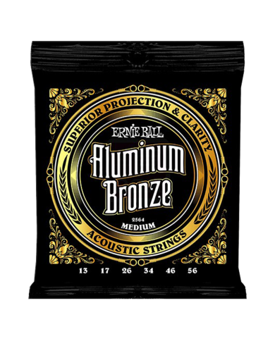 ERNIE BALL EP02564
