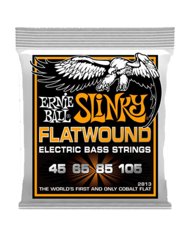 ERNIE BALL EP02813