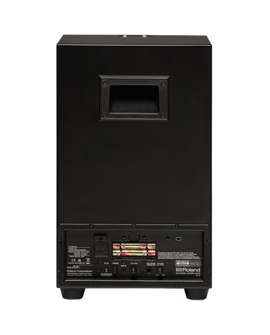 ROLAND EC-10