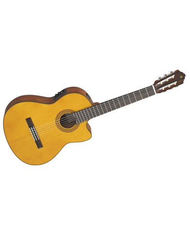 YAMAHA CGX122MSC