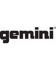 GEMINI