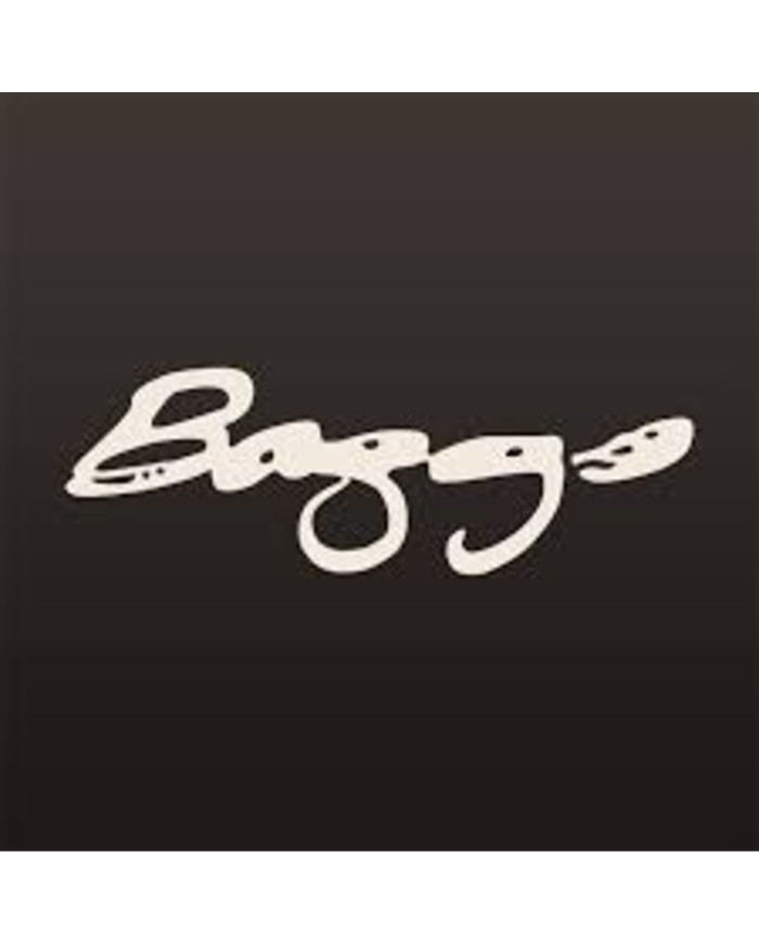 L.R. BAGGS L.R. BAGGS
