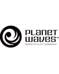 PLANET WAVES