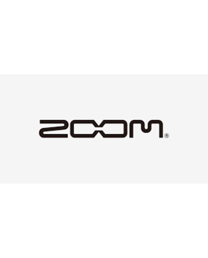 ZOOM ZOOM