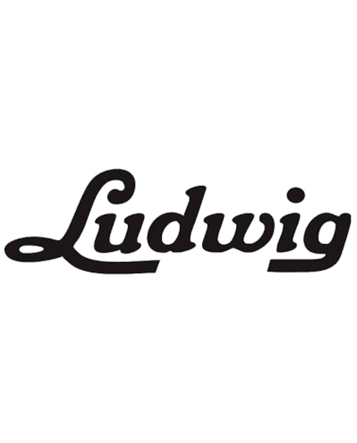Ludwig Ludwig