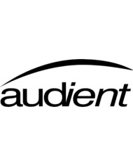 AUDIENT