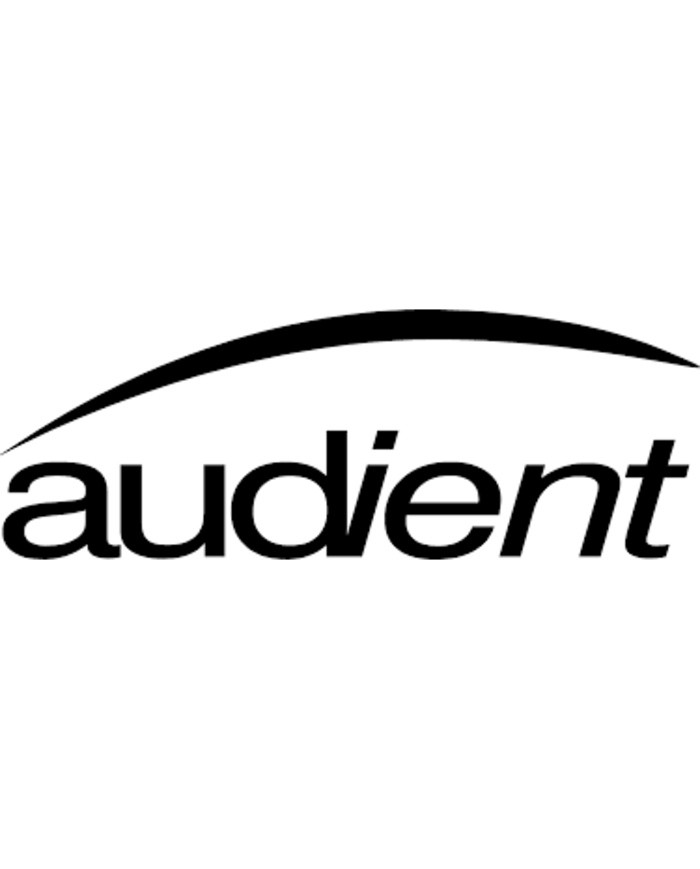 AUDIENT AUDIENT