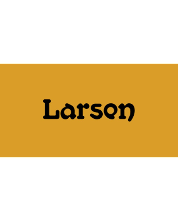 Larsen Larsen