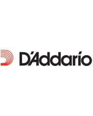 D'ADDARIO