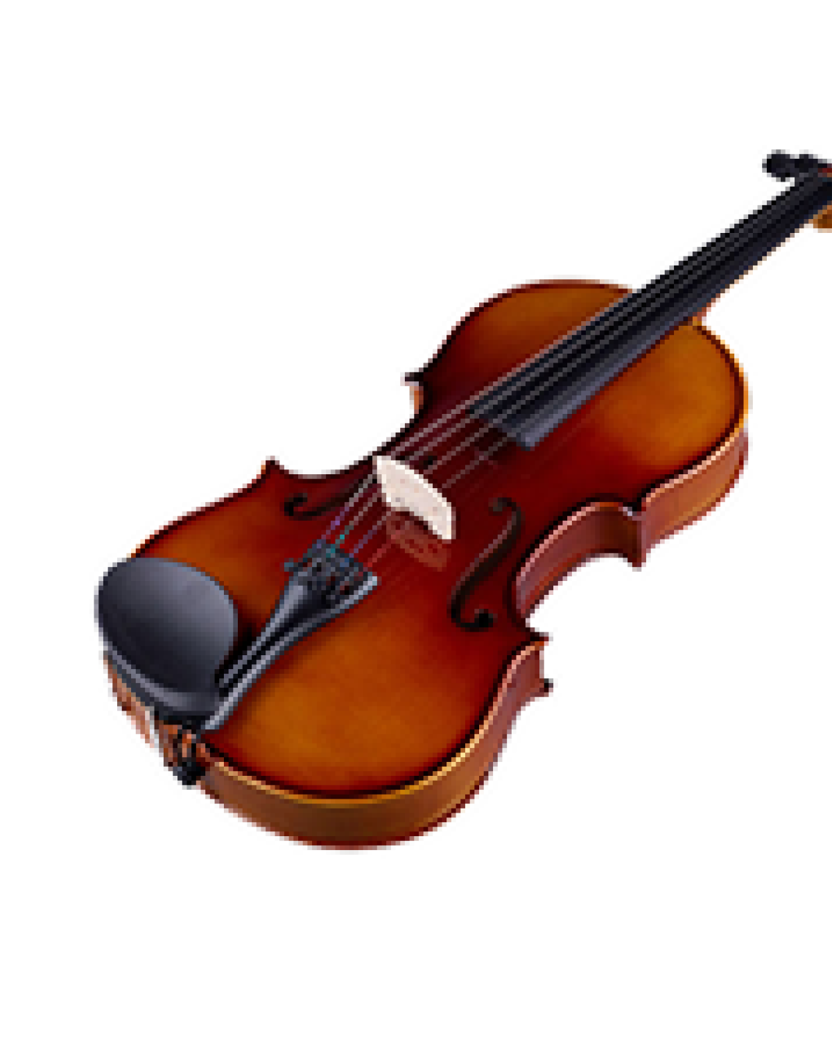 Violon